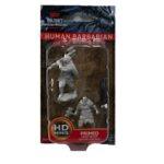 Human Barbarian
