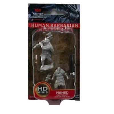 Human Barbarian