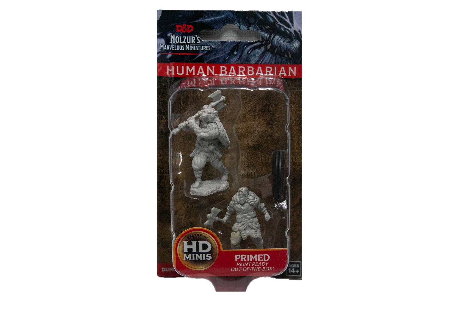Human Barbarian